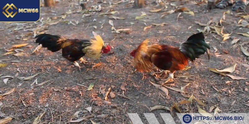 Thanh toán nhanh chóng, không chậm trễ